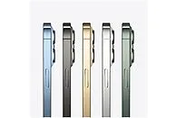 Apple iPhone 13 Pro lineup.webp