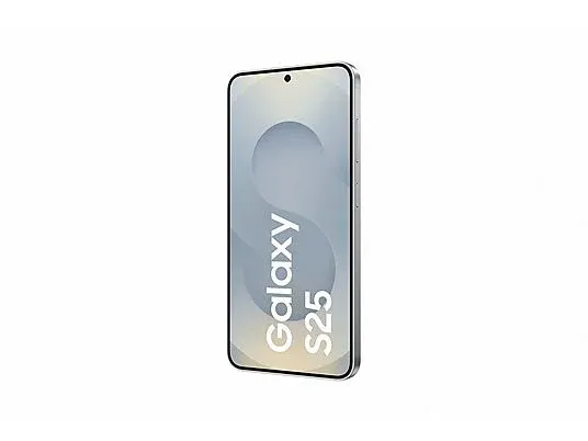 Samsung Galaxy S25 Silver Shadow back side.webp