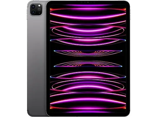 Apple iPad Pro 11 (4.gen) M2 2022 Space Gray.webp