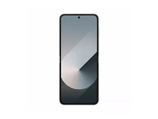 Samsung Galaxy Z Flip 6 Silver Shadow open.webp