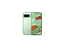 Google Pixel 9 Wintergreen 6.webp