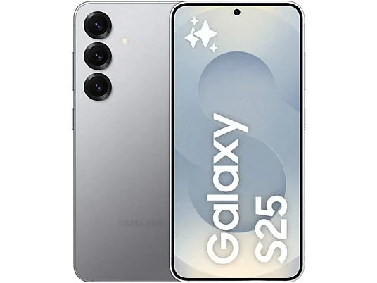Samsung Galaxy S25 256 GB Silver Shadow (A, 80)